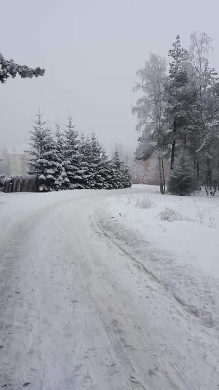 Apartment Velago Zlatibor Exterior photo